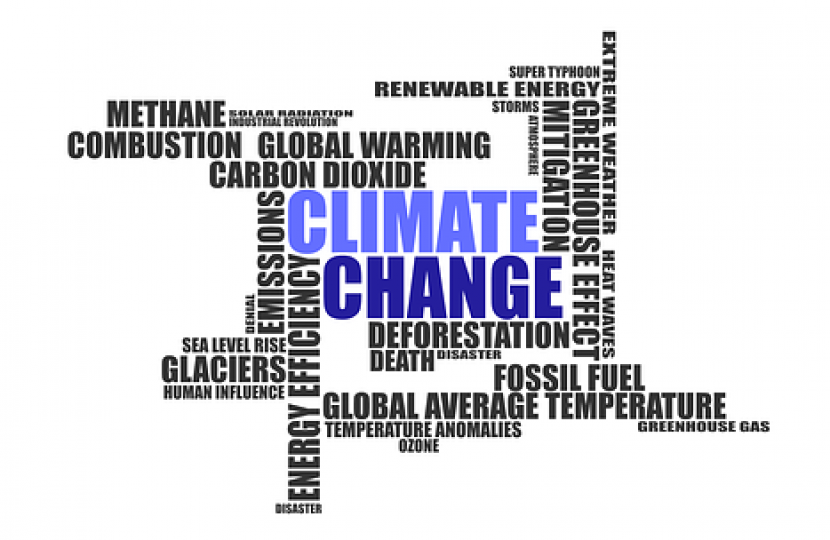 Climate change info graphic