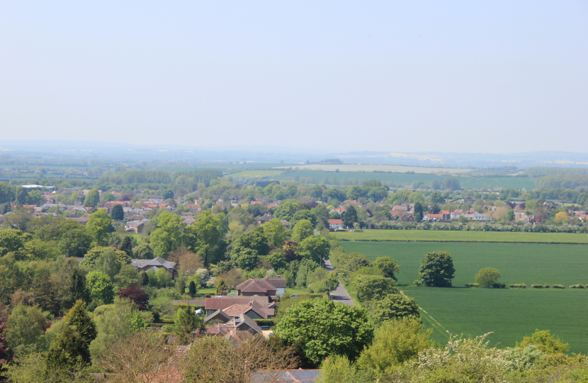 Rural constituency landscape