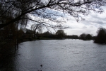 River Thames at Benson