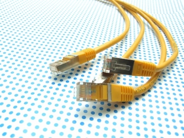 cat6